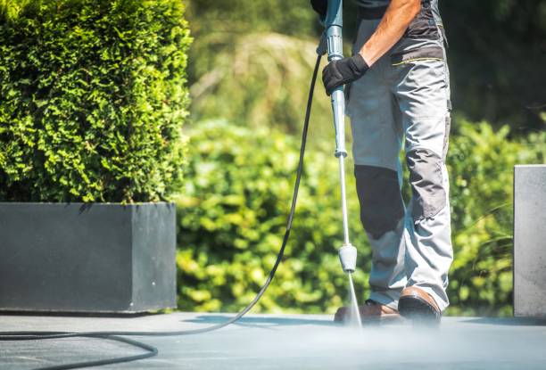 Best Gutter Cleaning  in Fanning Springs, FL