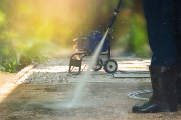 Best Driveway Pressure Washing  in Fanning Springs, FL